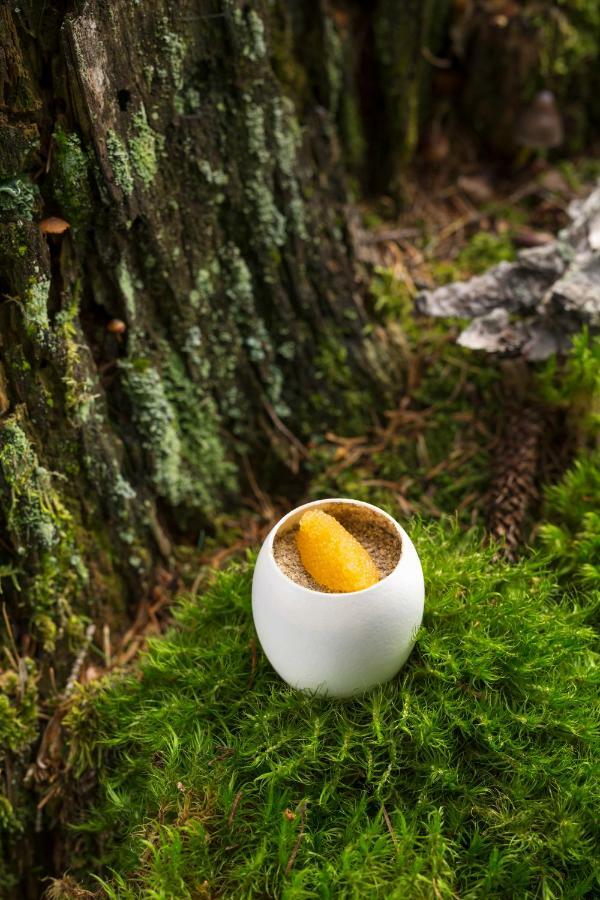 Terra - The Magic Place Relais & Chateaux Sarentino エクステリア 写真